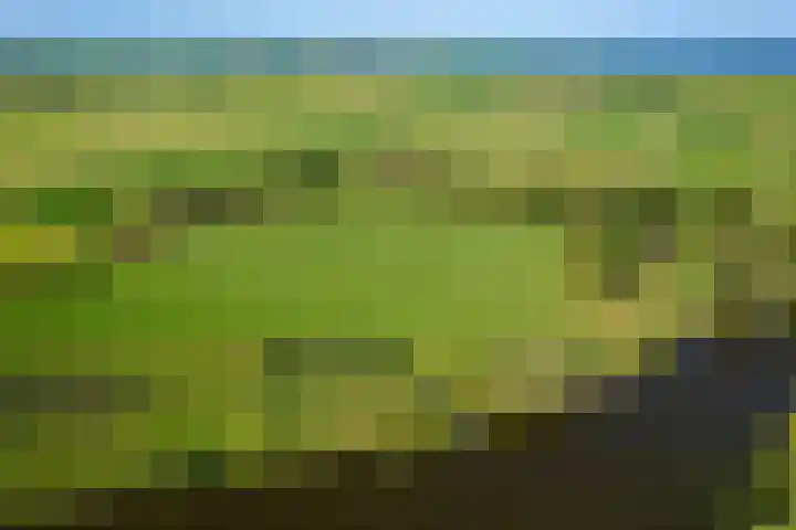 Tjongerpad 12 Delfstrahuizen thumbnail 4