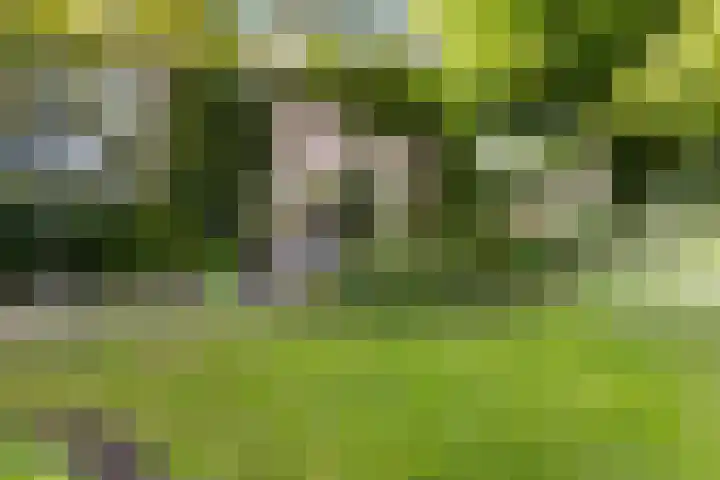 Tjongerpad 12 Delfstrahuizen thumbnail 40