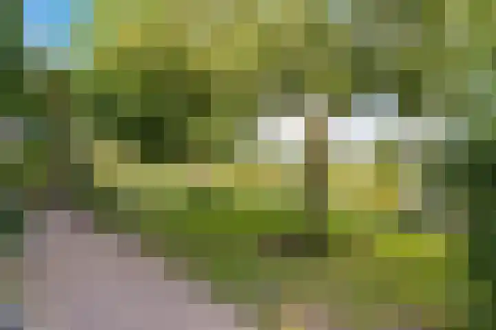 Tjongerpad 12 Delfstrahuizen thumbnail 41
