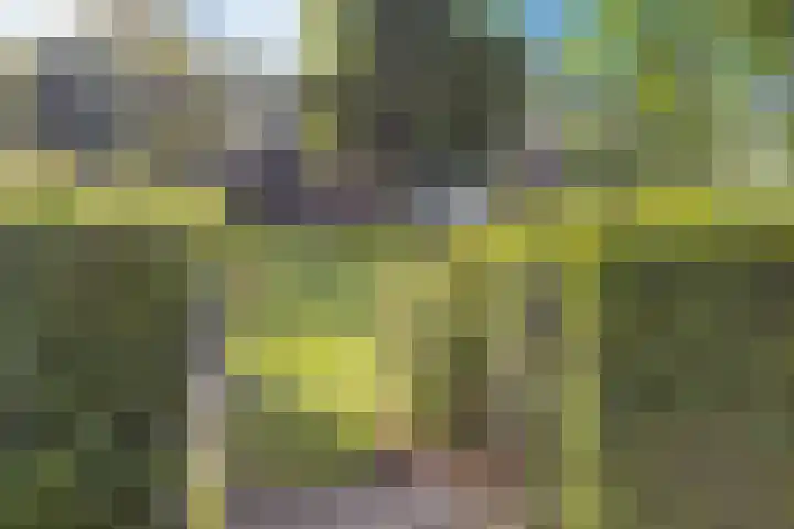 Tjongerpad 12 Delfstrahuizen thumbnail 42