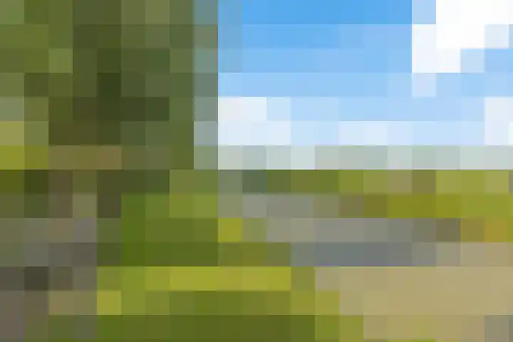 Tjongerpad 12 Delfstrahuizen thumbnail 43