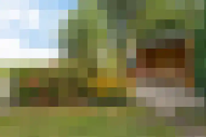 Tjongerpad 12 Delfstrahuizen thumbnail 44