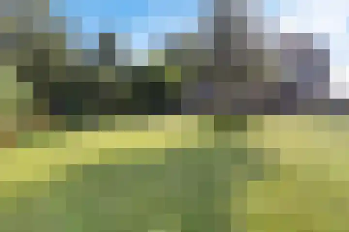 Tjongerpad 12 Delfstrahuizen thumbnail 45