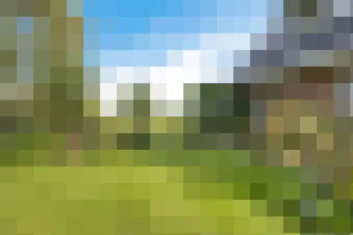 Tjongerpad 12 Delfstrahuizen thumbnail 46