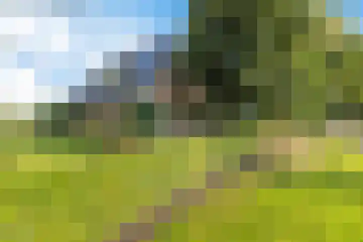 Tjongerpad 12 Delfstrahuizen thumbnail 7