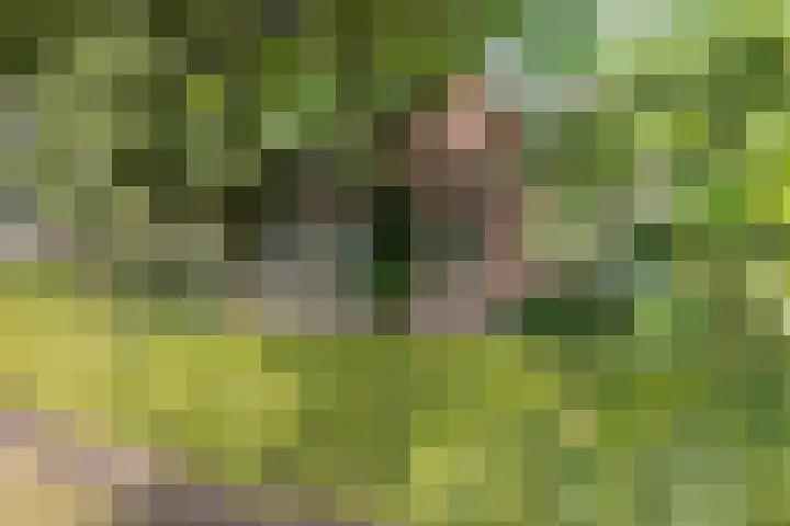 Tjongerpad 12 Delfstrahuizen thumbnail 8