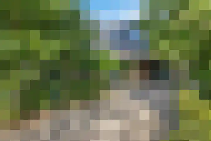 Tjongerpad 12 Delfstrahuizen thumbnail 9