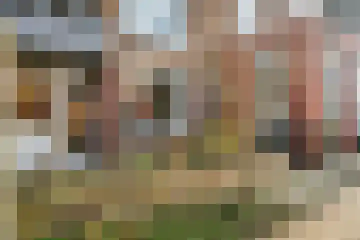 Tjongerstraat 2 Dordrecht thumbnail 36