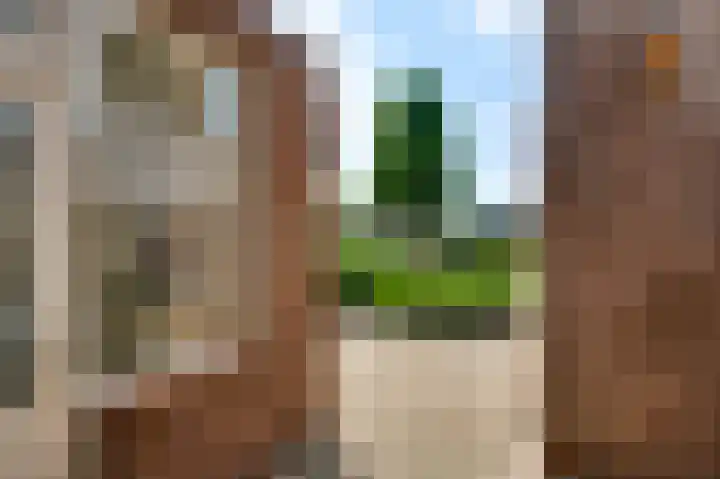 Tjongerstraat 7 Nederweert-Eind thumbnail 15