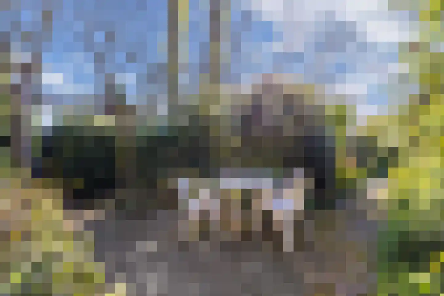 Tjongervallei 13 Oudehorne thumbnail 11