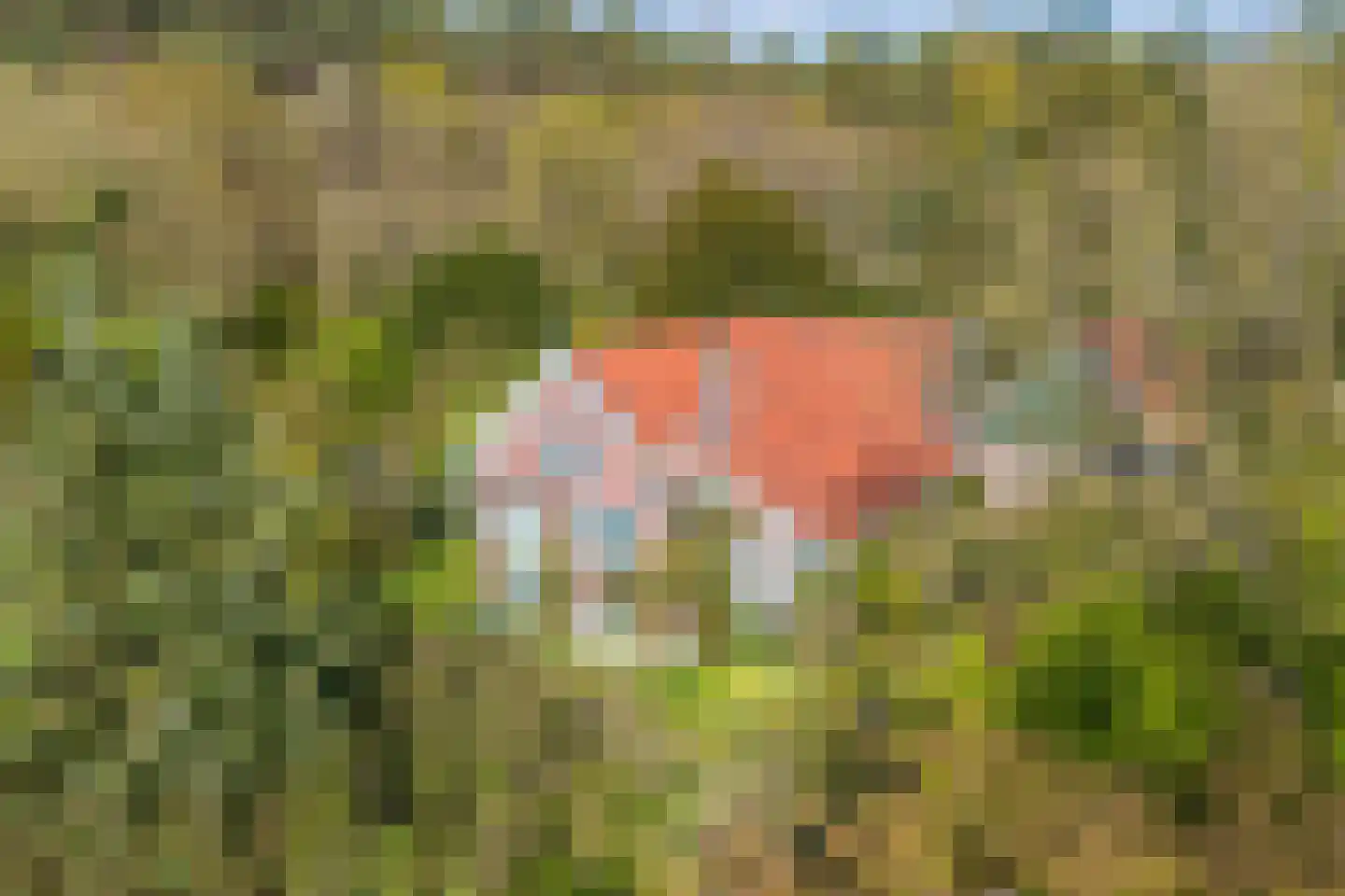Tjongervallei 13 Oudehorne thumbnail 13