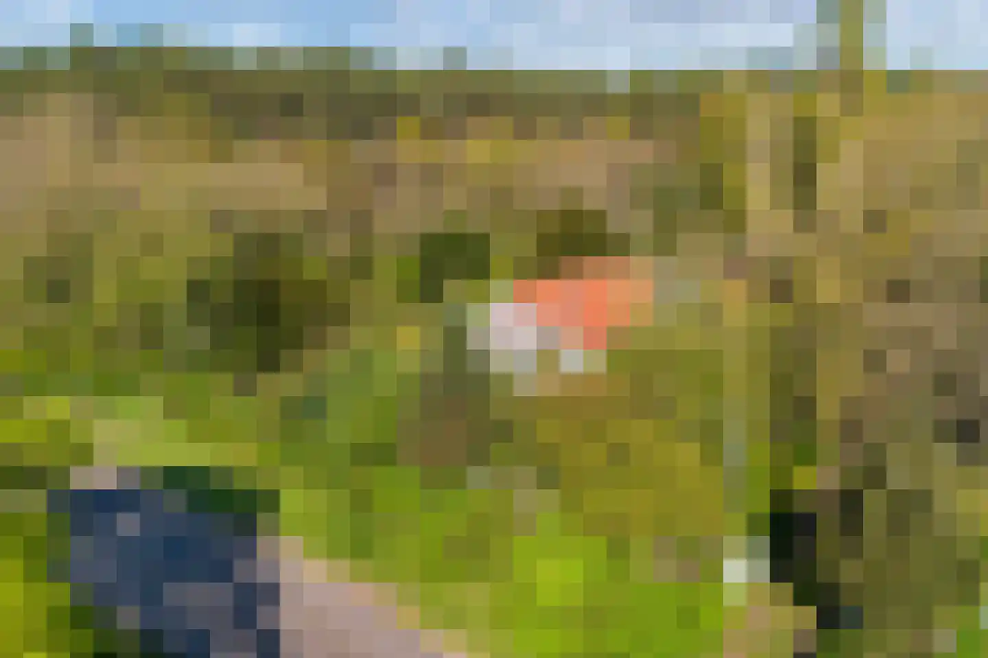 Tjongervallei 13 Oudehorne thumbnail 14