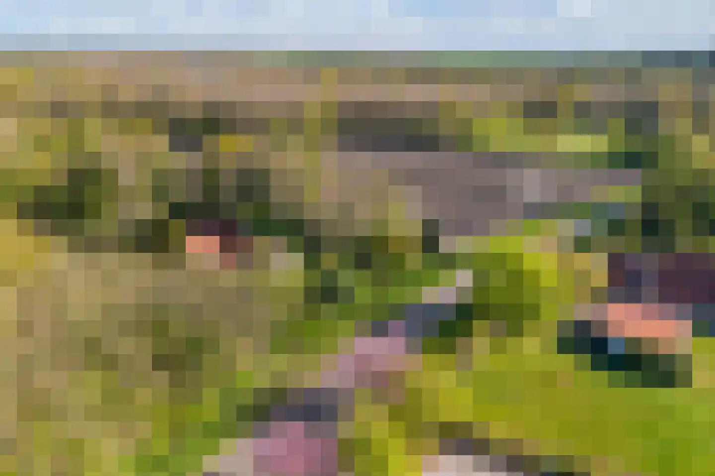 Tjongervallei 13 Oudehorne thumbnail 15