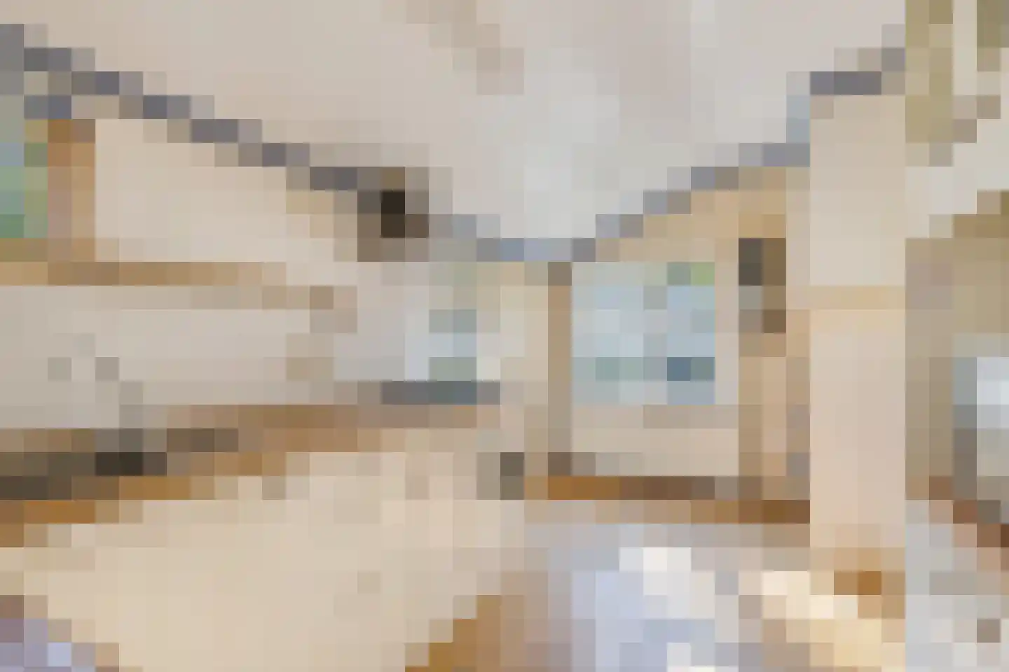 Tjongervallei 13 Oudehorne thumbnail 19