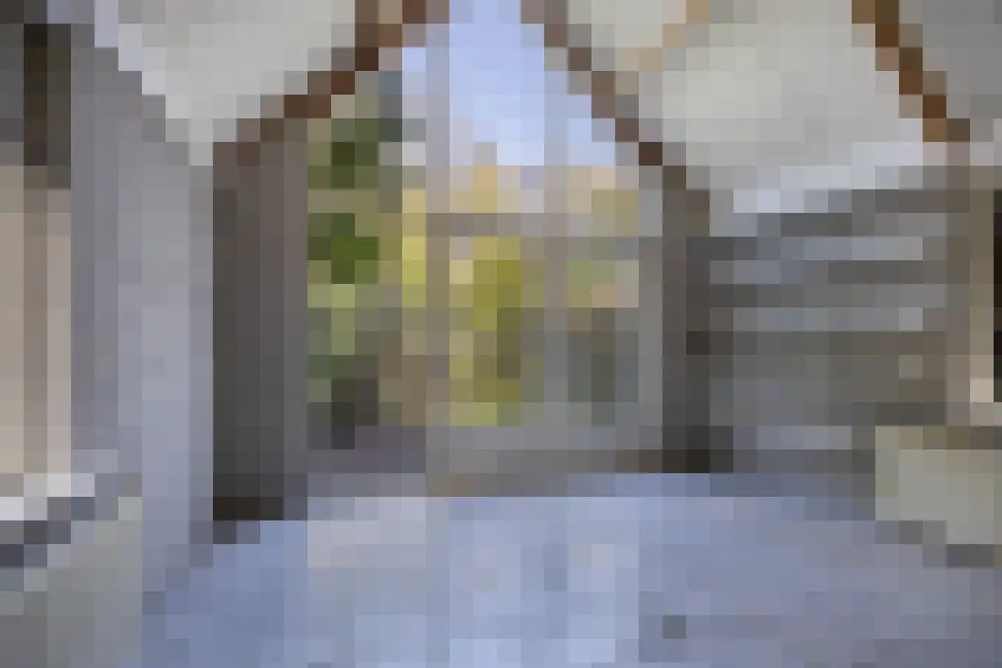 Tjongervallei 13 Oudehorne thumbnail 24