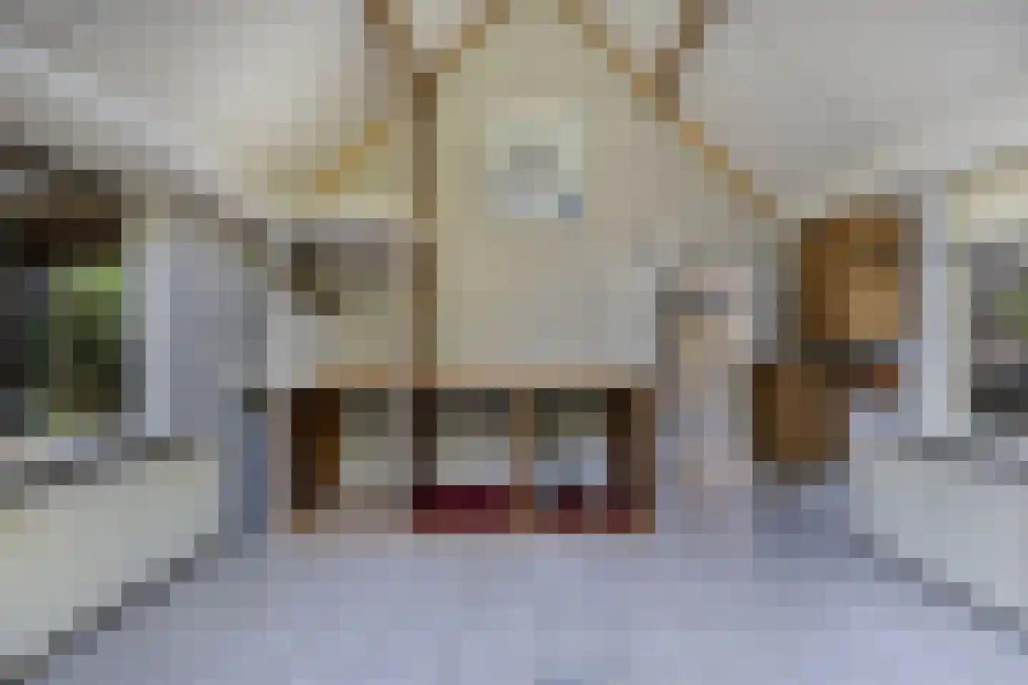 Tjongervallei 13 Oudehorne thumbnail 25