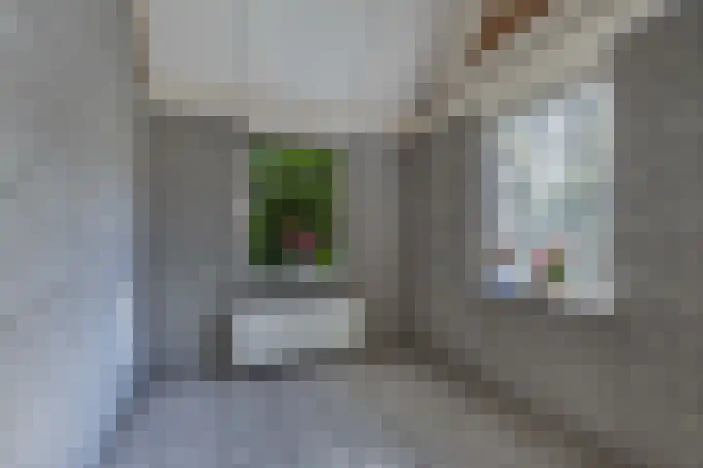 Tjongervallei 13 Oudehorne thumbnail 29