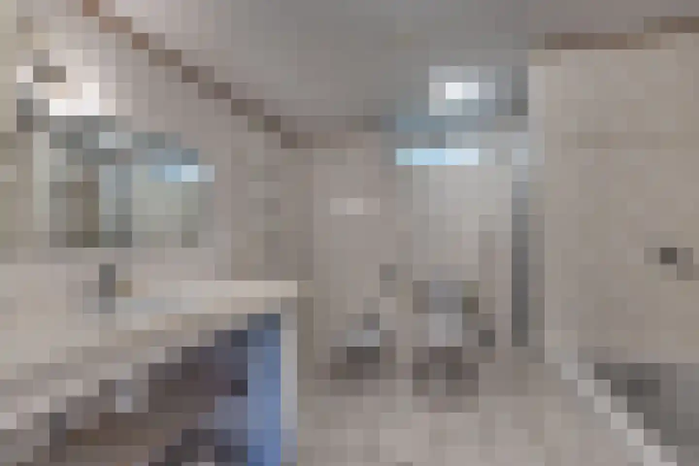 Tjongervallei 13 Oudehorne thumbnail 30