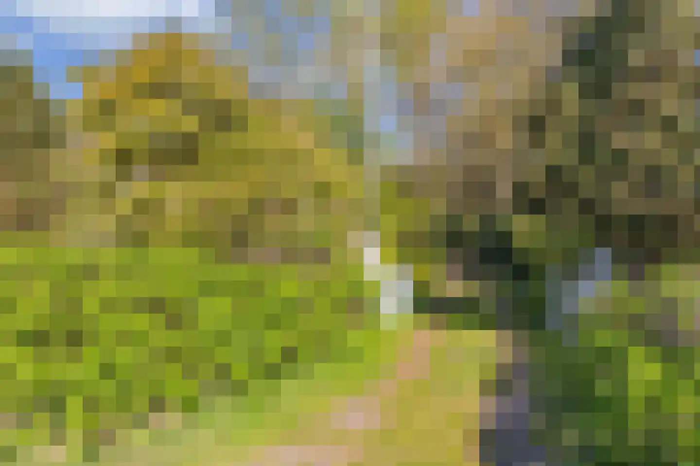 Tjongervallei 13 Oudehorne thumbnail 36