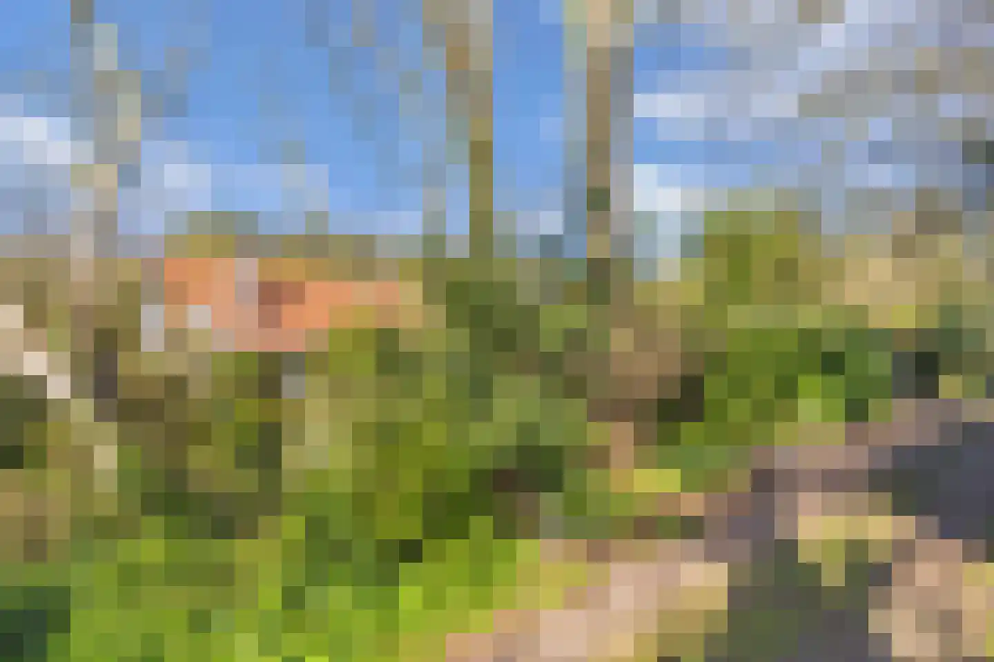 Tjongervallei 13 Oudehorne thumbnail 38