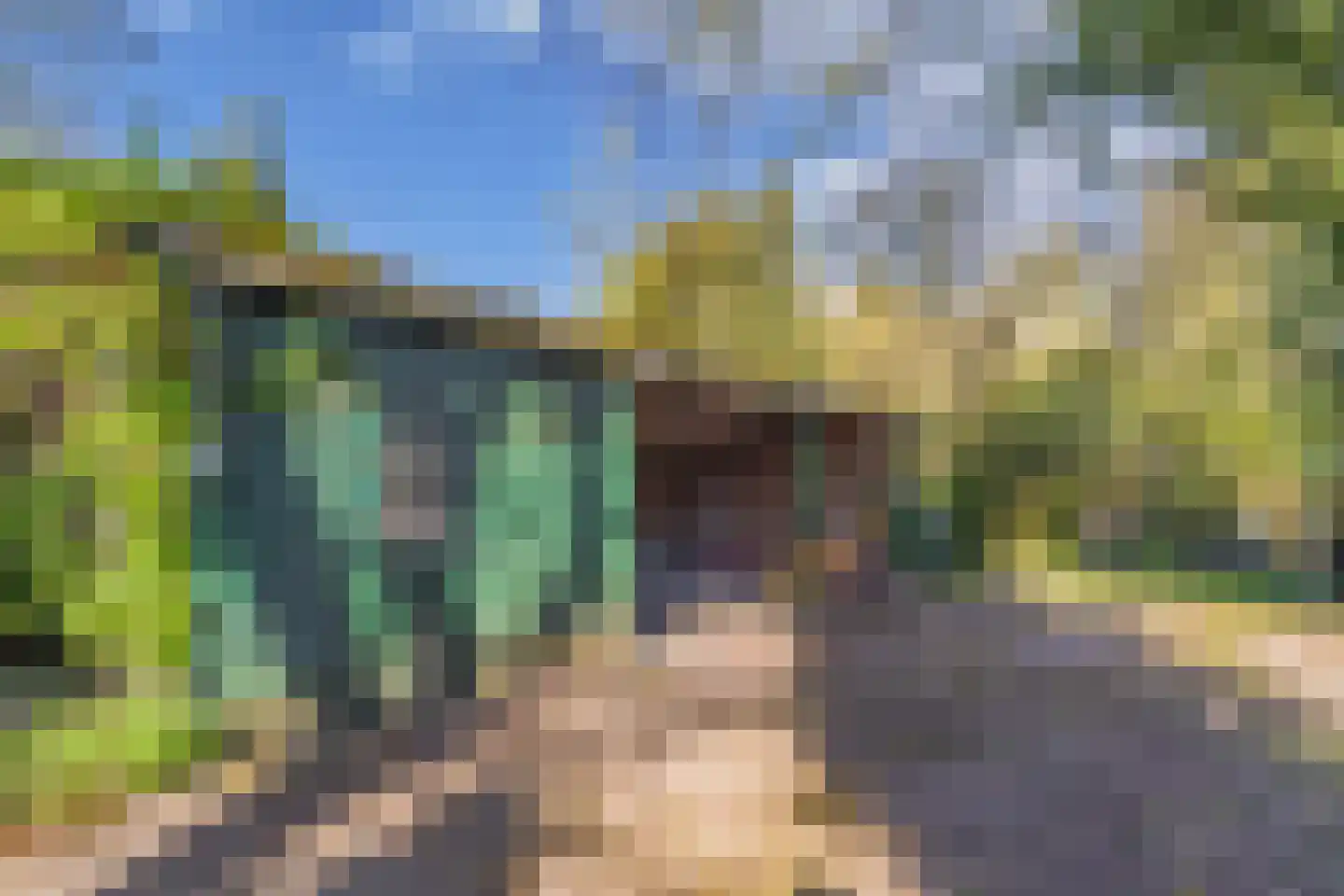 Tjongervallei 13 Oudehorne thumbnail 39