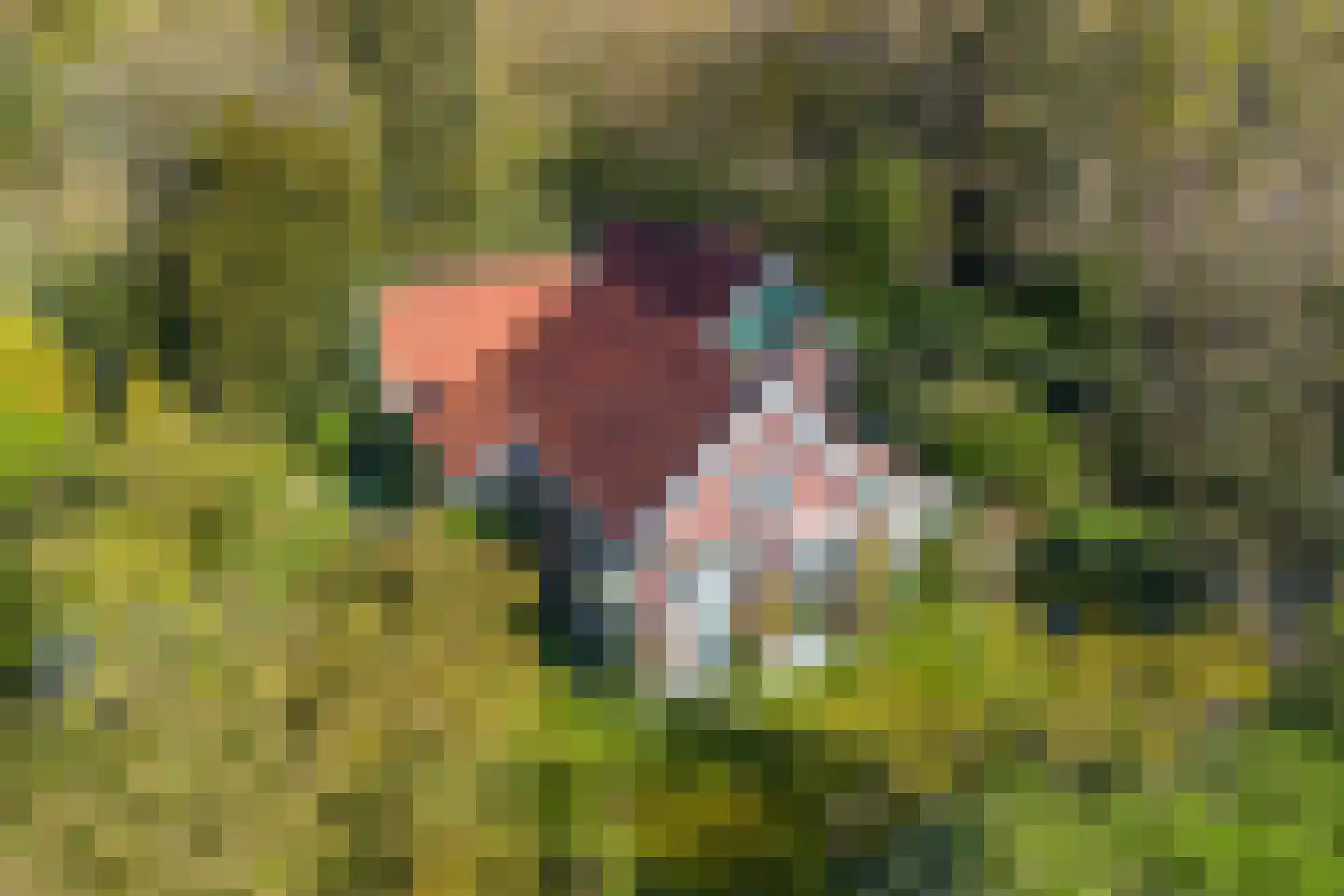 Tjongervallei 13 Oudehorne thumbnail 4