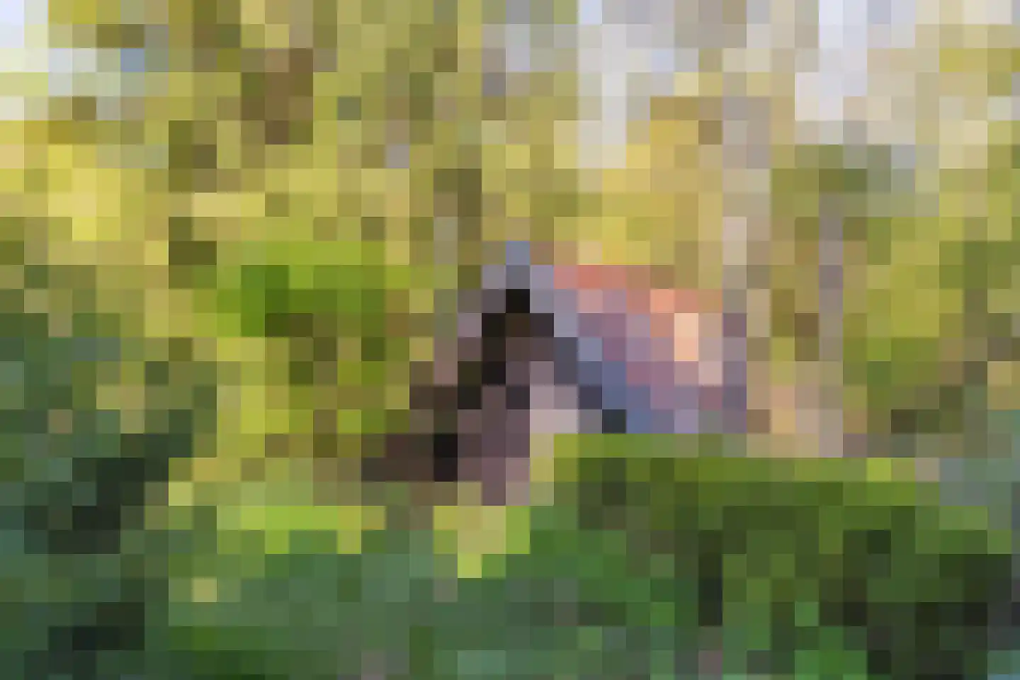 Tjongervallei 13 Oudehorne thumbnail 41