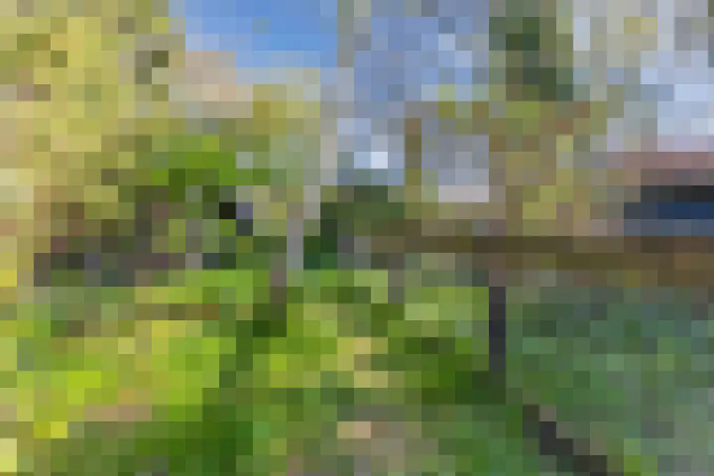 Tjongervallei 13 Oudehorne thumbnail 42