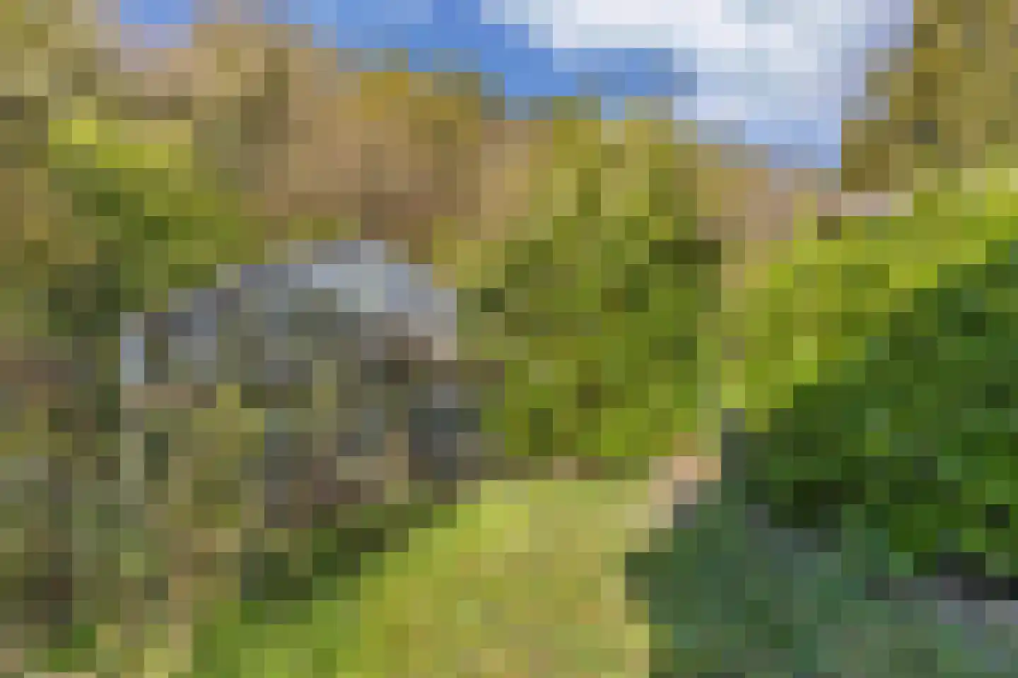Tjongervallei 13 Oudehorne thumbnail 43