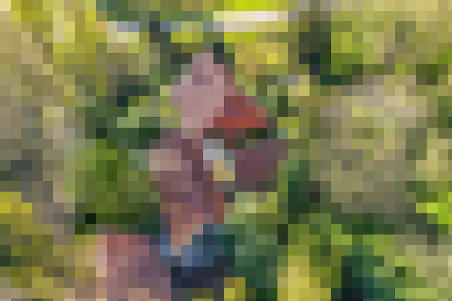 Tjongervallei 13 Oudehorne thumbnail 44