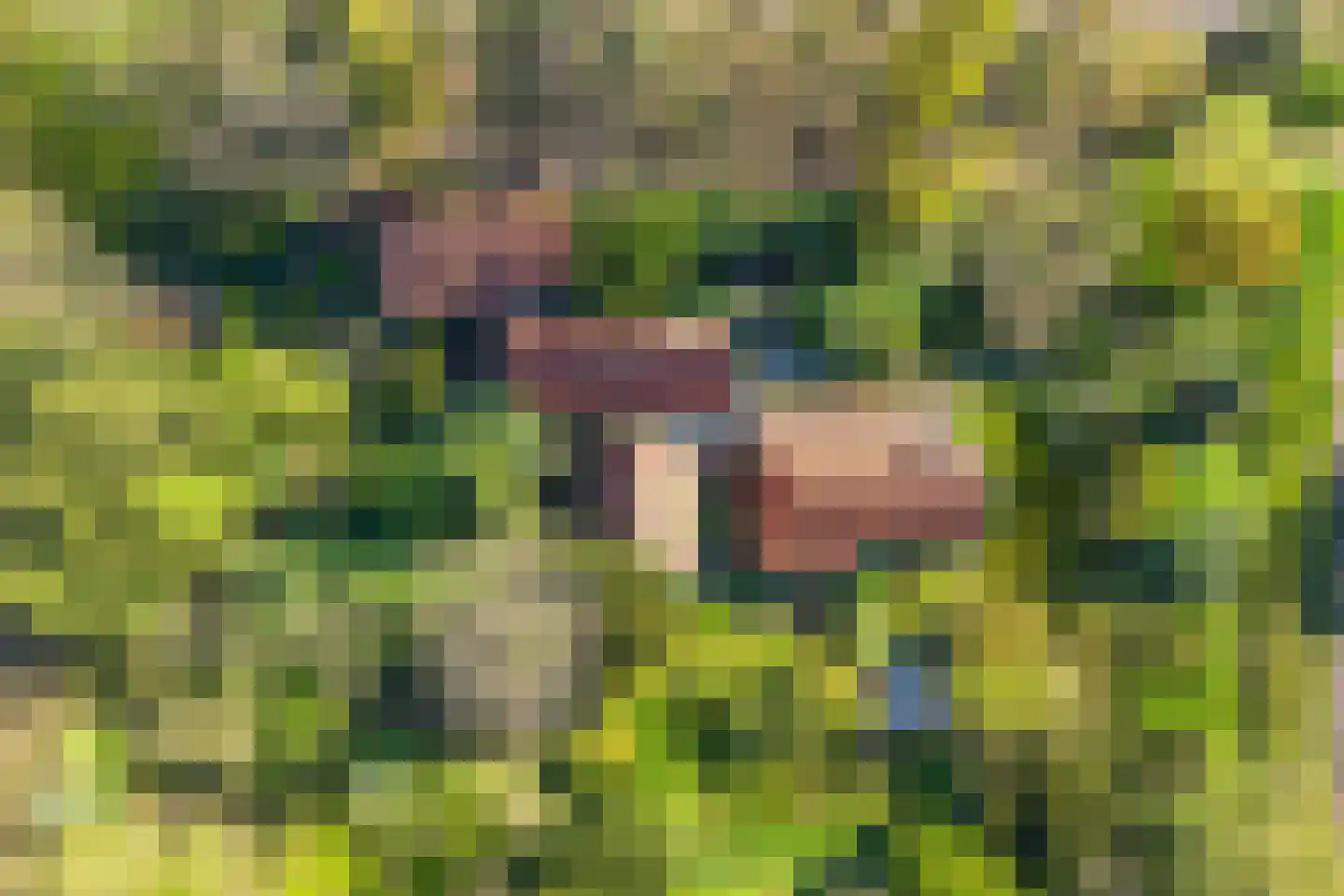 Tjongervallei 13 Oudehorne thumbnail 45