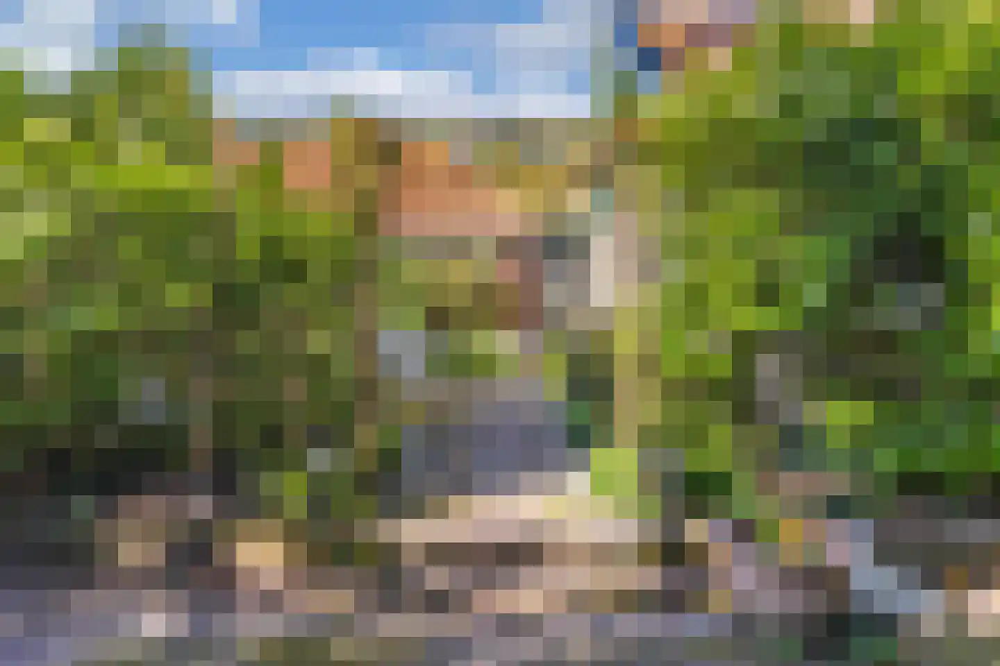 Tjongervallei 13 Oudehorne thumbnail 9