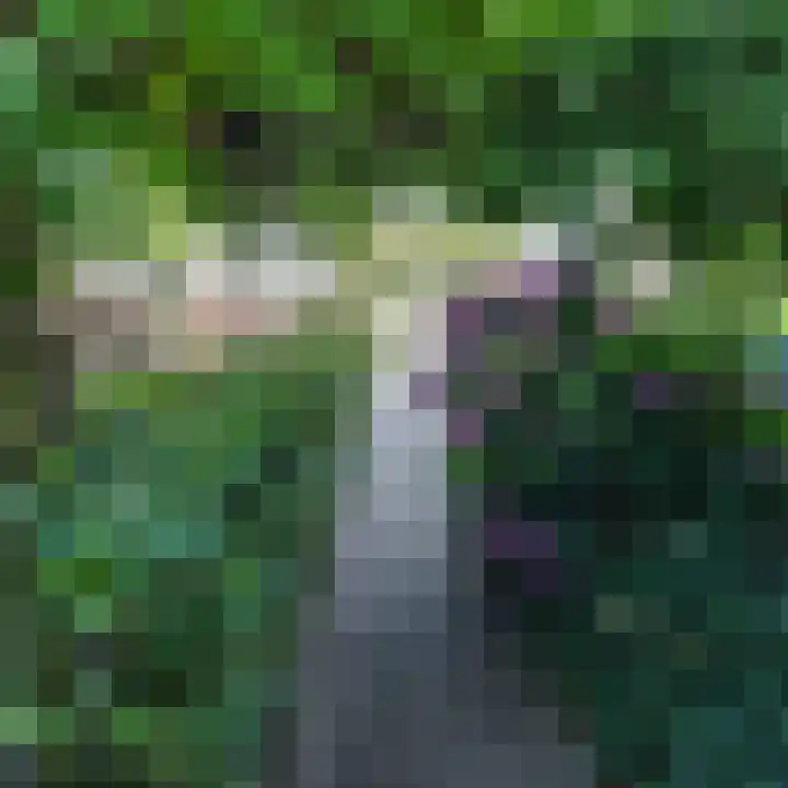 Tjotter 10 Heerenveen thumbnail 44
