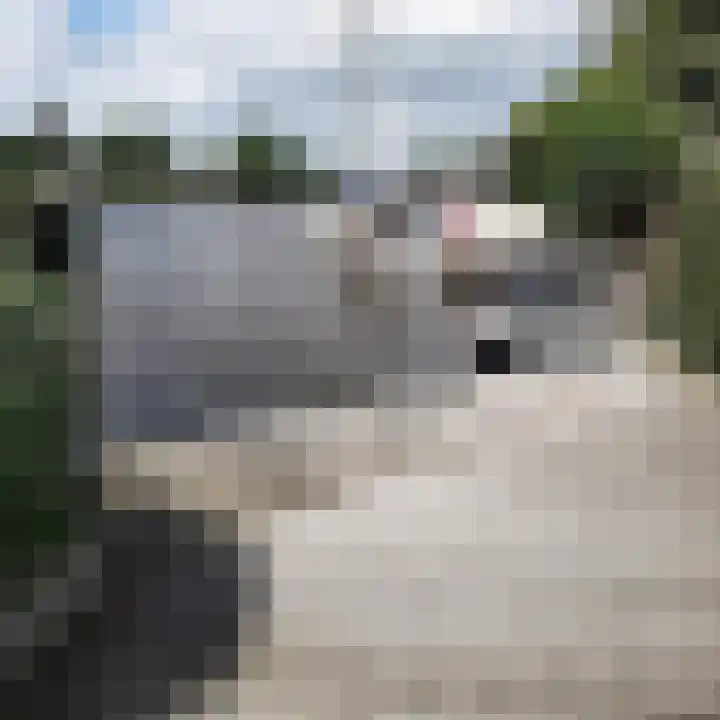 Tjotter 10 Heerenveen thumbnail 47