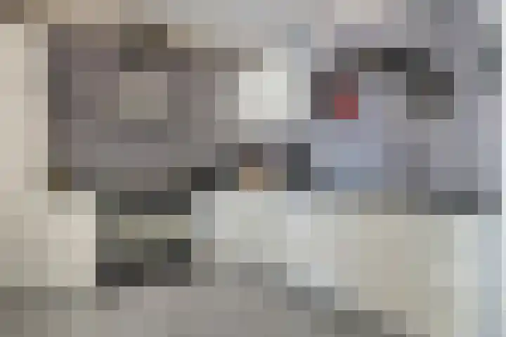 Tjotter 15 Heerenveen thumbnail 13