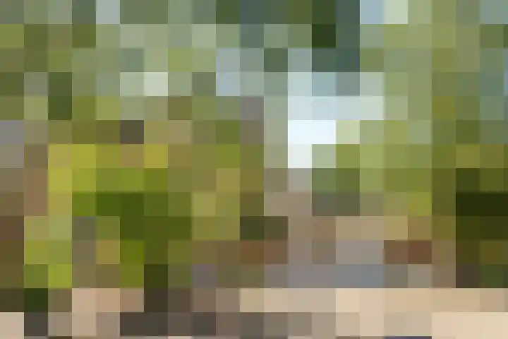 Tjotter 15 Heerenveen thumbnail 28