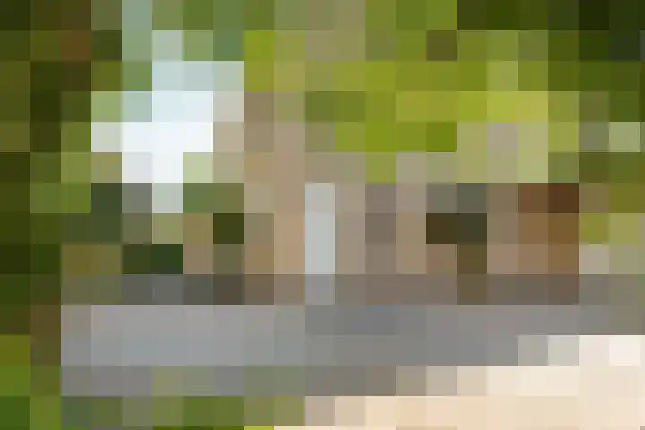 Tjotter 15 Heerenveen thumbnail 30