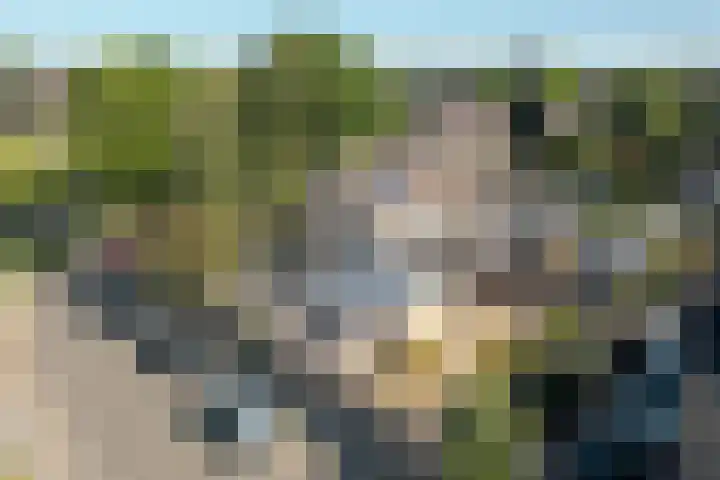 Tjotter 15 Heerenveen thumbnail 33