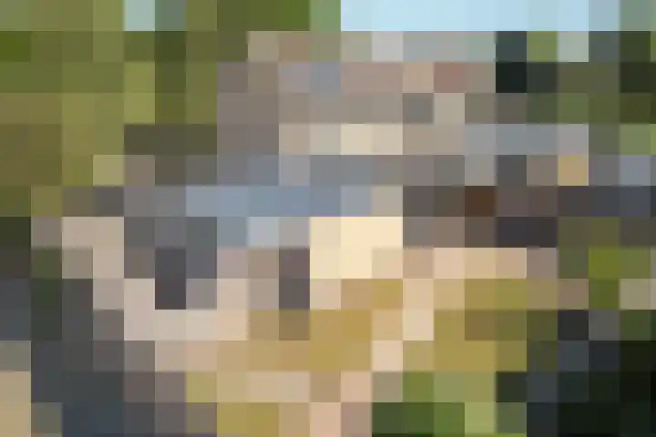 Tjotter 15 Heerenveen thumbnail 34