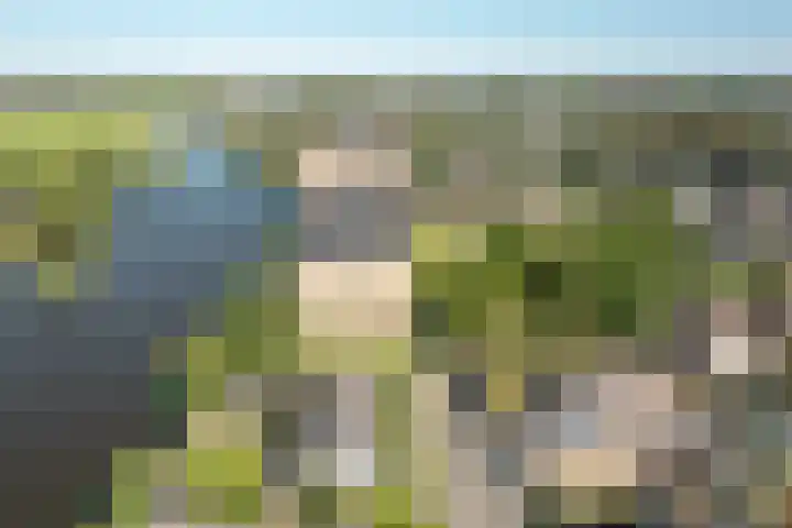 Tjotter 15 Heerenveen thumbnail 35