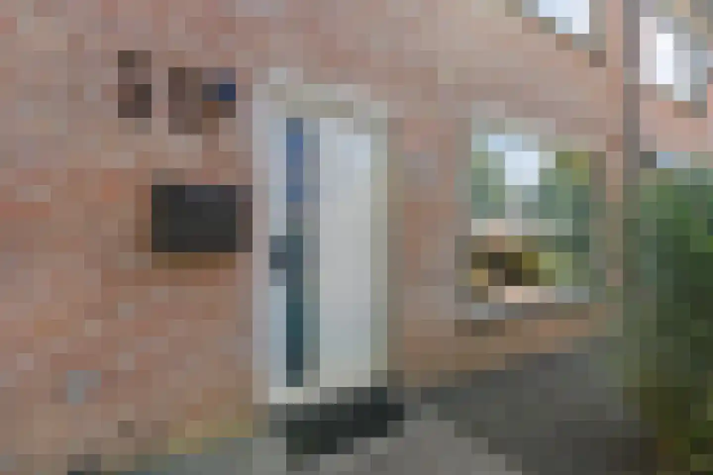 Tjotter 20 Loosdrecht thumbnail 6