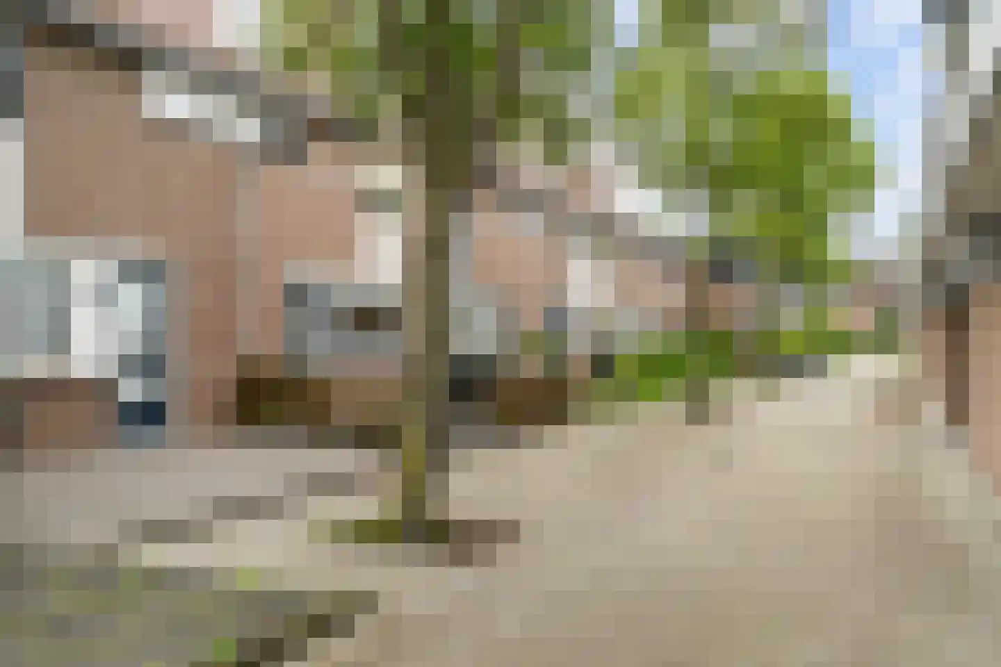 Tjotter 22 Schiedam thumbnail 25