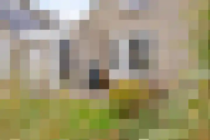Tjotter 3 Zuidhorn thumbnail 24
