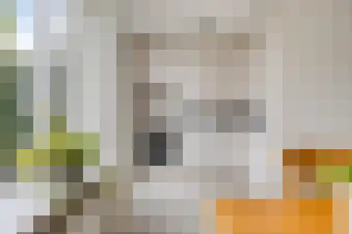 Tjotter 3 Zuidhorn thumbnail 33