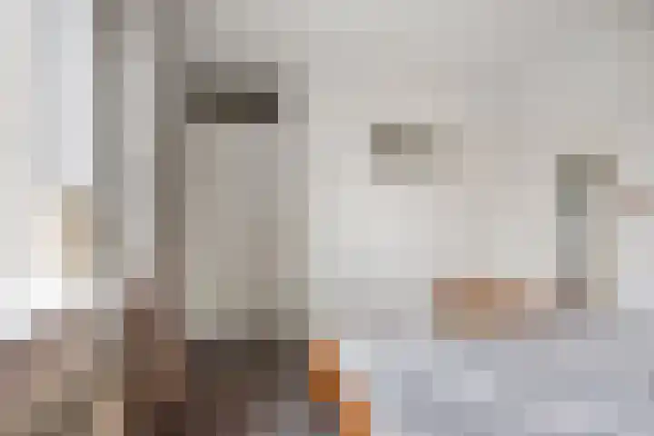 Tjotter 3 Zuidhorn thumbnail 38