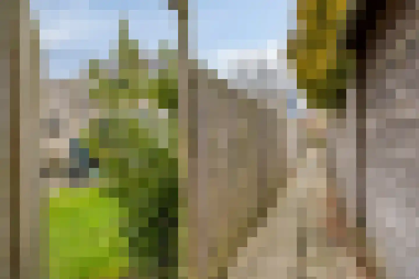 Tjotter 3 Zuidhorn thumbnail 54