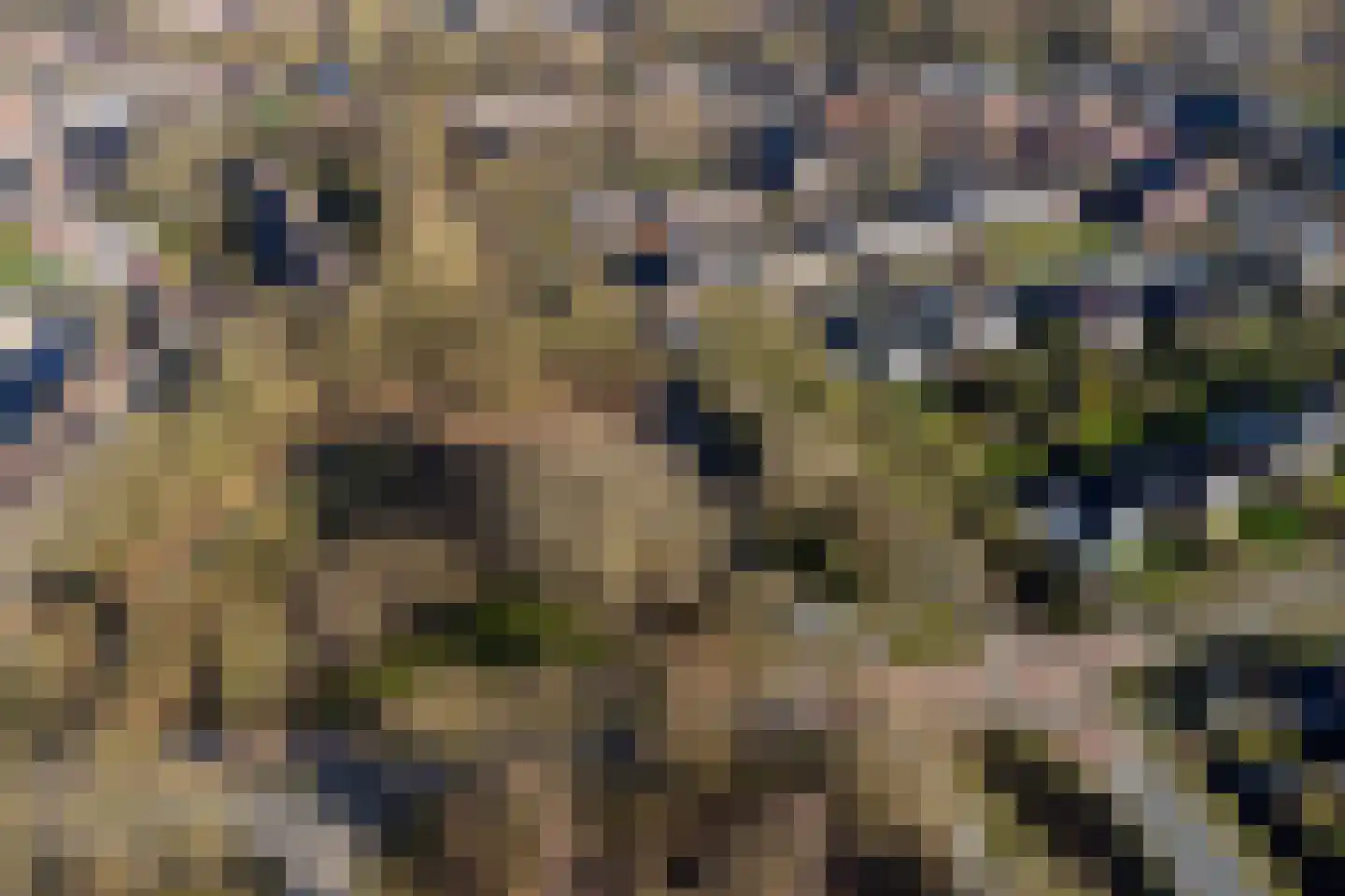 Tjotter 3 Zuidhorn thumbnail 55