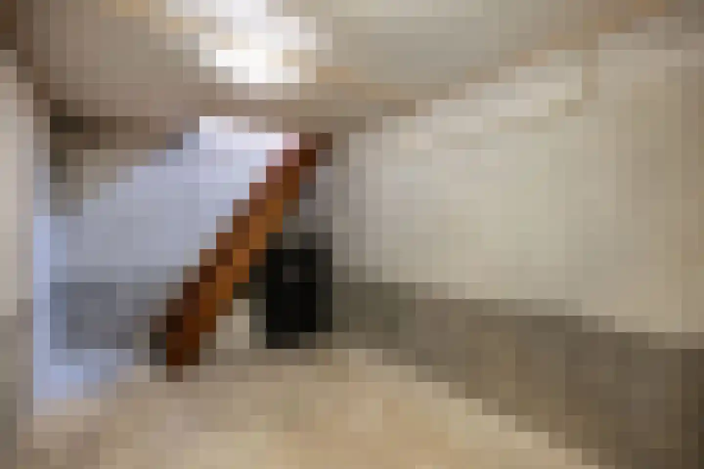 Tjotter 6 Broek op Langedijk thumbnail 24