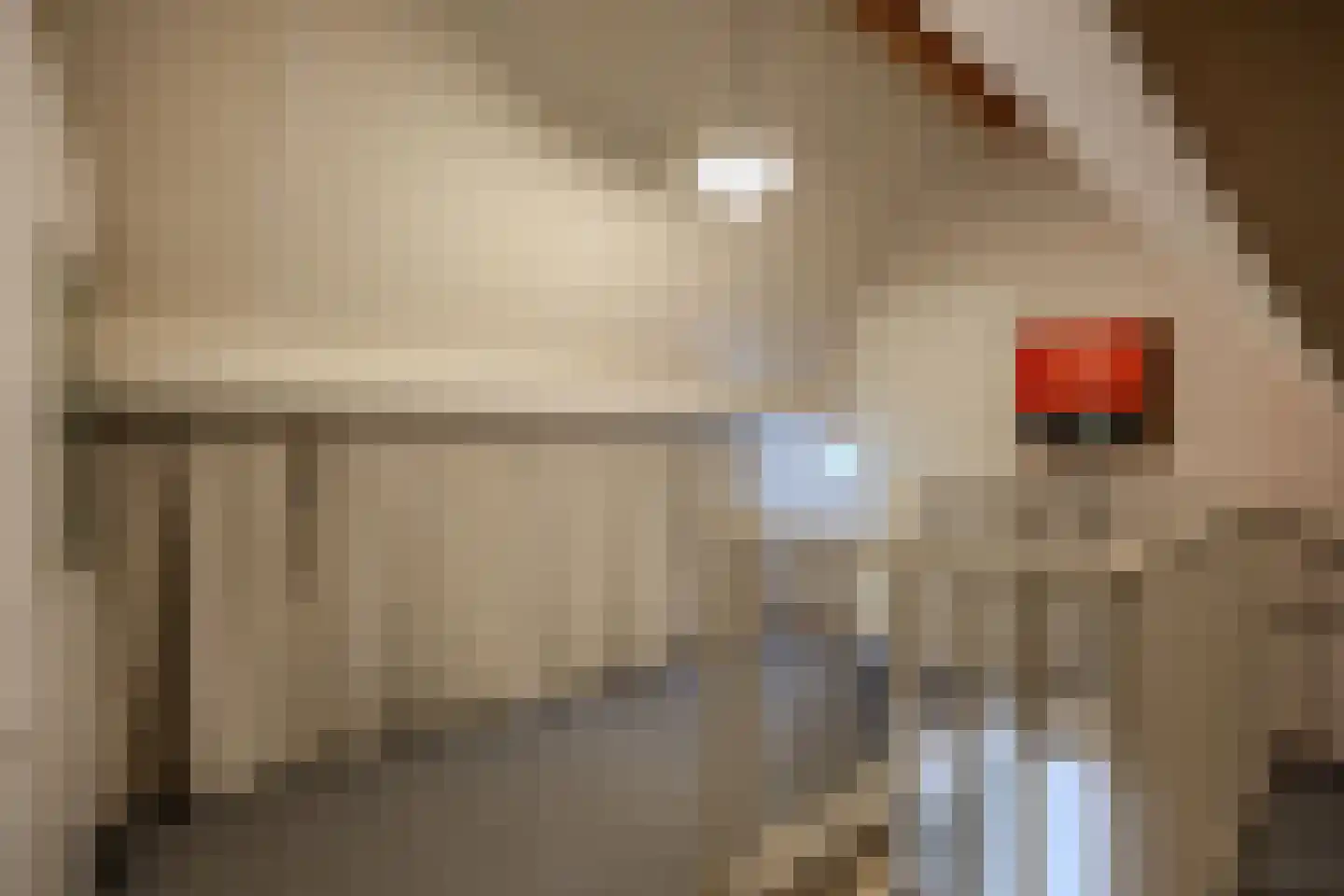 Tjotter 6 Broek op Langedijk thumbnail 37