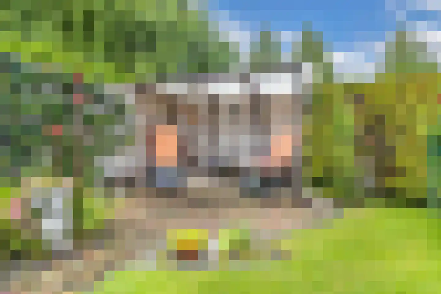 Tjotter 6 Broek op Langedijk thumbnail 50
